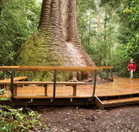 Burrawan State Forest - Lightning Ridge Tourism