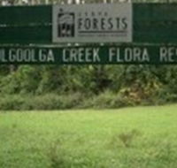 Woolgoolga Creek Flora Reserve - Lightning Ridge Tourism