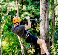 TreeTop Challenge Currumbin - Lightning Ridge Tourism