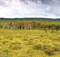 Yuraygir National Park - Lightning Ridge Tourism