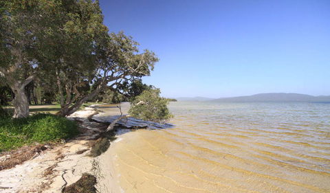 Booti Booti National Park - Lightning Ridge Tourism 1