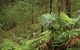 Booti Booti National Park - thumb 2