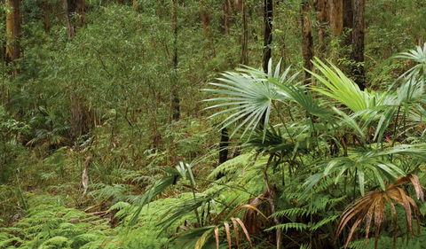 Booti Booti National Park - Lightning Ridge Tourism 2