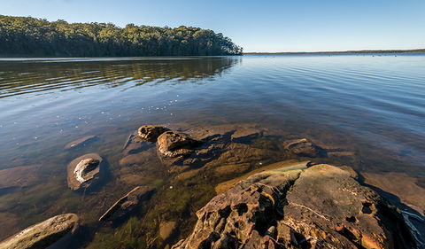 Queens Lake Nature Reserve - Lightning Ridge Tourism 0