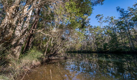 Queens Lake Nature Reserve - Lightning Ridge Tourism 3