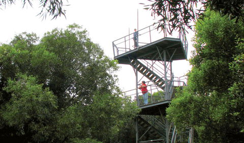 Cape Hawke Lookout - Lightning Ridge Tourism 0