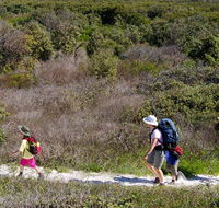 Yuraygir coastal walk - Lightning Ridge Tourism