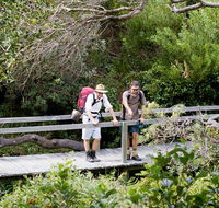 Wilsons Headland walking track - Lightning Ridge Tourism