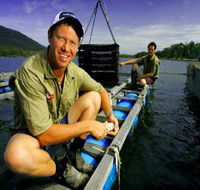 Armstrong Oysters - Lightning Ridge Tourism