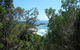 Jack Perkins Walking Track - thumb 1