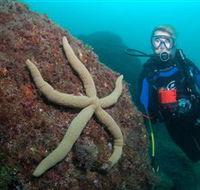 Cook Island Dive Site - Lightning Ridge Tourism