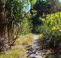 North Head walking track - Lightning Ridge Tourism