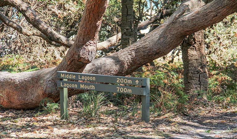 Devils Hole ACT Lightning Ridge Tourism