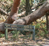 Middle Lagoon walking track - Lightning Ridge Tourism