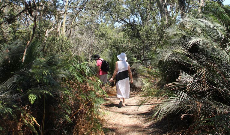 Mogareeka NSW Lightning Ridge Tourism