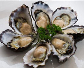 Tathra Oysters - Lightning Ridge Tourism 0