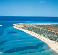 Monkey Mia - Lightning Ridge Tourism