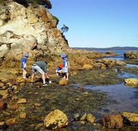 Sapphire Coast Marine Discovery Centre - Lightning Ridge Tourism