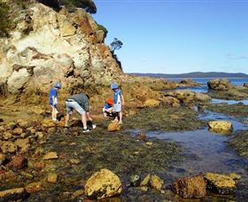 Sapphire Coast Marine Discovery Centre - Lightning Ridge Tourism 0