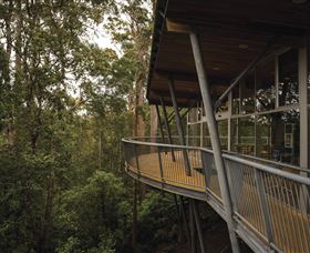 Tarkine Forest Adventures - Dismal Swamp - Lightning Ridge Tourism 0
