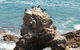 Ben Boyd National Park - thumb 2