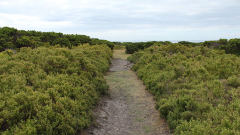 Ben Boyd National Park - Lightning Ridge Tourism 3