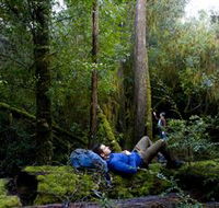 The Tarkine Drive - Lightning Ridge Tourism