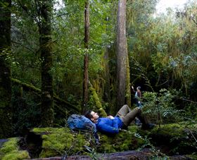 The Tarkine Drive - Lightning Ridge Tourism 0