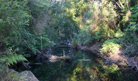 Nadgee Nature Reserve - Lightning Ridge Tourism 2