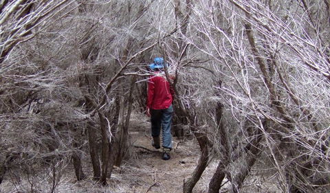 Nadgee Nature Reserve - Lightning Ridge Tourism 3