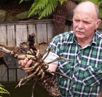 Lobster Ponds - Lightning Ridge Tourism