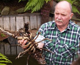 Lobster Ponds - Lightning Ridge Tourism 0