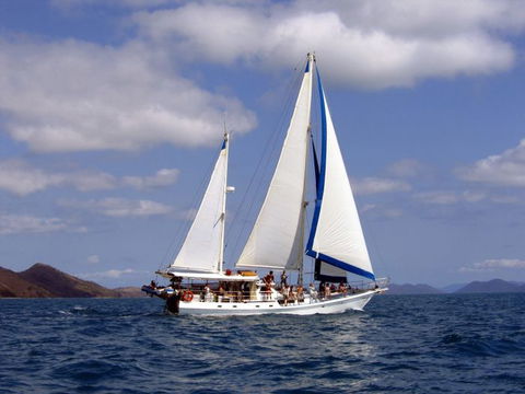 Adventure, Cruise, Dive And Outer Reef - Whitsundays Sailing Adventures - Lightning Ridge Tourism 7
