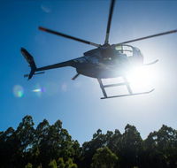 Tall Timbers Adventure Tours - Lightning Ridge Tourism