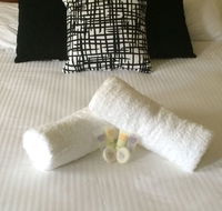 Town House Motor Inn - Lightning Ridge Tourism