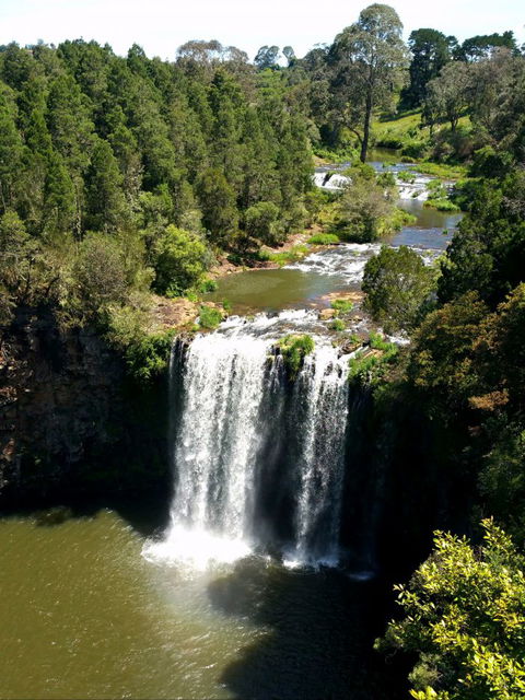A1 Coffs Coast Tours - Lightning Ridge Tourism 4
