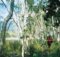 Thorsborne Trail Hinchinbrook Island National Park - Lightning Ridge Tourism