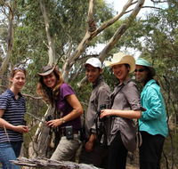 Echidna Walkabout Nature Tours - Lightning Ridge Tourism