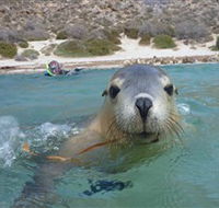 Calypso Star Charters - Lightning Ridge Tourism