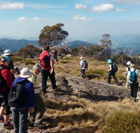 Hedonistic Hiking - Lightning Ridge Tourism