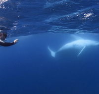 Sunreef Mooloolaba - Lightning Ridge Tourism