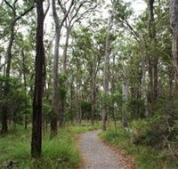 Caboolture Regional Environment Education Centre - Walking Trails - Lightning Ridge Tourism