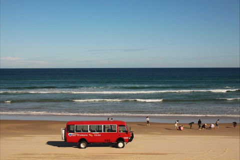 Port Stephens 4WD Tours - Lightning Ridge Tourism 6