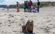 Kangaroo Island Odysseys - thumb 17