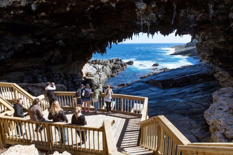Kangaroo Island Odysseys - Lightning Ridge Tourism 23