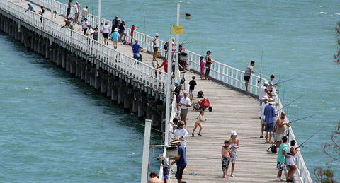 Fraser Coast Amazing Fishing Trails - Lightning Ridge Tourism 25