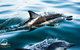 Dolphin Swim Australia - thumb 1