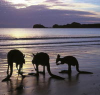 Beachcomber Cove Track - Lightning Ridge Tourism