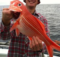 Goin' Off Safaris - Lightning Ridge Tourism