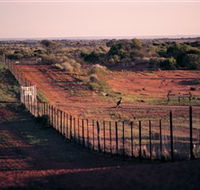 Tri State Safaris - Lightning Ridge Tourism